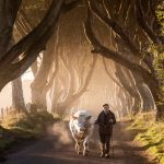 The Dark Hedges B&B Accommodation